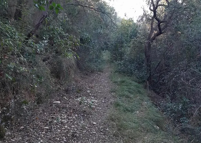 Maioun Cremat Διαμέρισμα